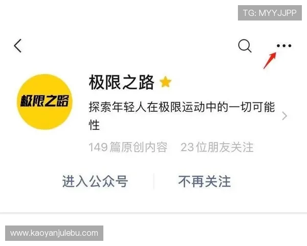 上海极限运动队的反击之路与挑战成就的深度剖析